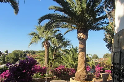 Ferienhaus, Meerblick, Pool, Garten