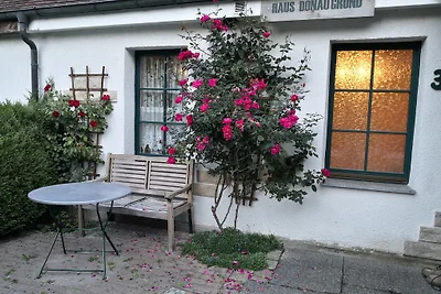Haus Donaugrund