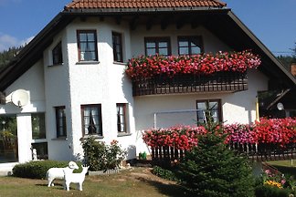 Ferienwohnung Dachsberg