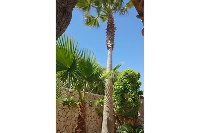 Casa Olivo strandnah Cala Romantica