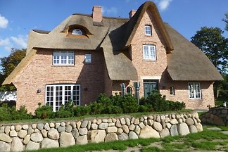 Ferienhauser Ferienwohnungen Auf Sylt Mieten