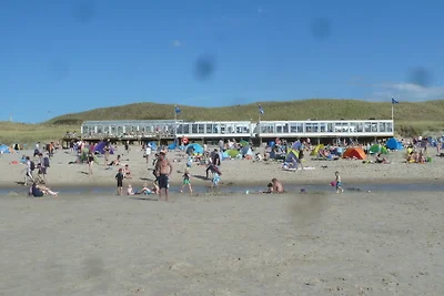 Het Zwanennest