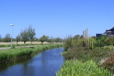 Het Zwanennest
