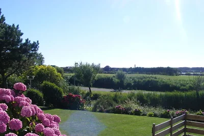 Het Zwanennest