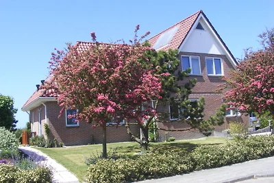 Het Zwanennest