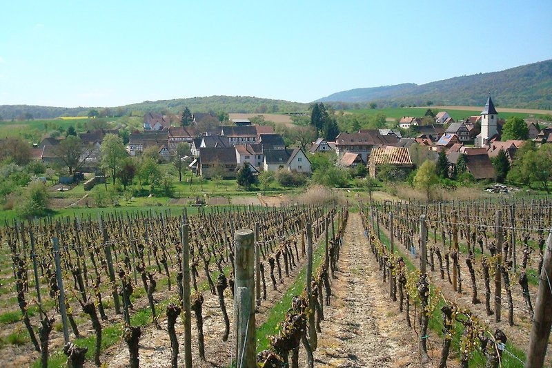 Ferienidyll Cleebourg in Cleebourg ab 237 € direkt bei Herr U