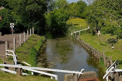 Nido di rondine