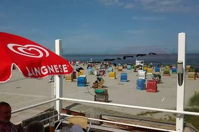Nido di rondine