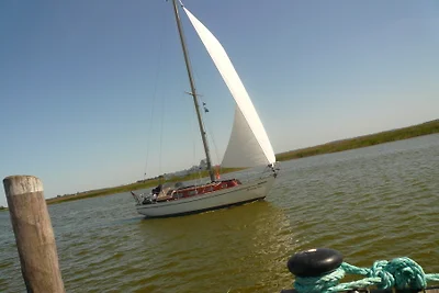 Flat Zeezicht Zingst