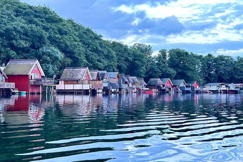 Blick vom See auf die historischen Bootshäuser, umgeben von Natur - Erholung und Wassersport in idyllischer Umgebung