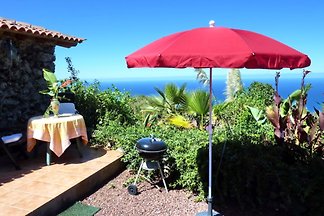 Finca Flores
