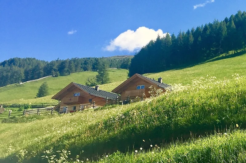 Here is the translation of your text into Italian:

Chalet Magda-Lena situato in posizione bassa, circondato da pascoli alpini. Escursioni a partire dall’alloggio.