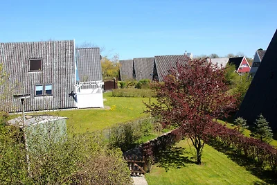 Ferienhaus mit Sky und Wlan