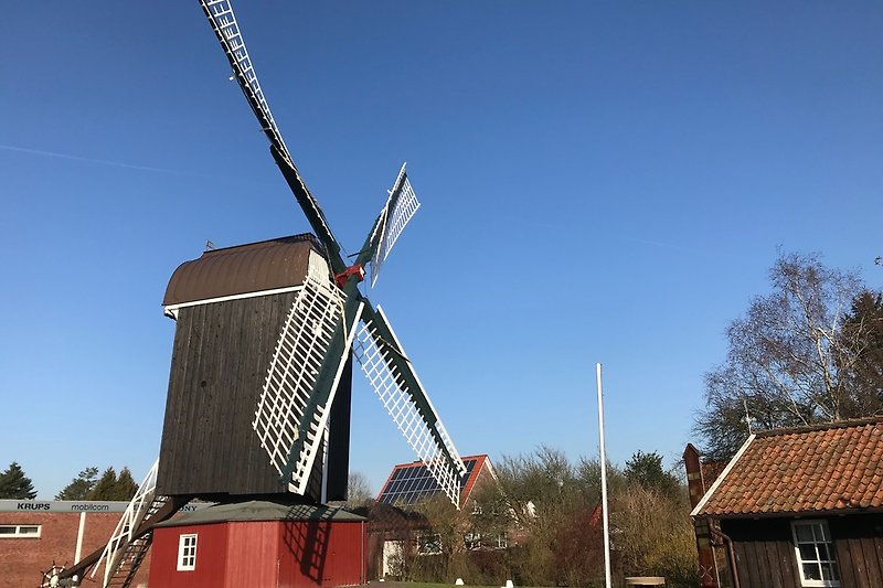 Bockwindmühle Dornum