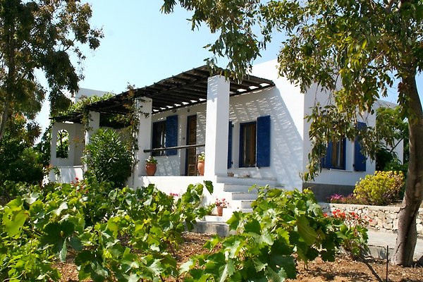 Ferienhaus Naxos