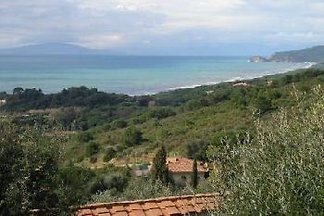 Villetta Lisena
