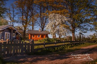 Saunowisko pod Jabłonią