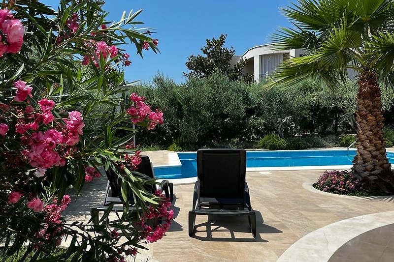 Prekrasan vrt s palmama, cvijećem i bazenom. Uživajte u opuštanju na otvorenom.