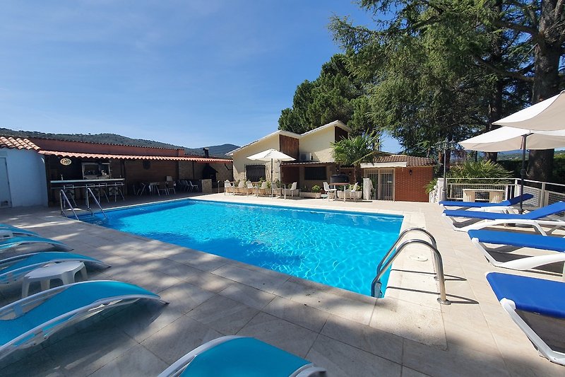 Herrliche Schwimmbad mit Gartenmöbeln und Schatten.