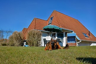 Meer-Zeit