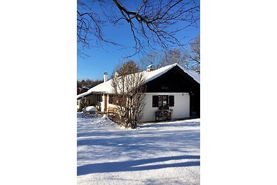 Holiday home BERGEBLICK F*****