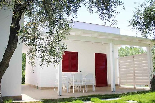 Ferienwohnung MONTE SANTANGELO