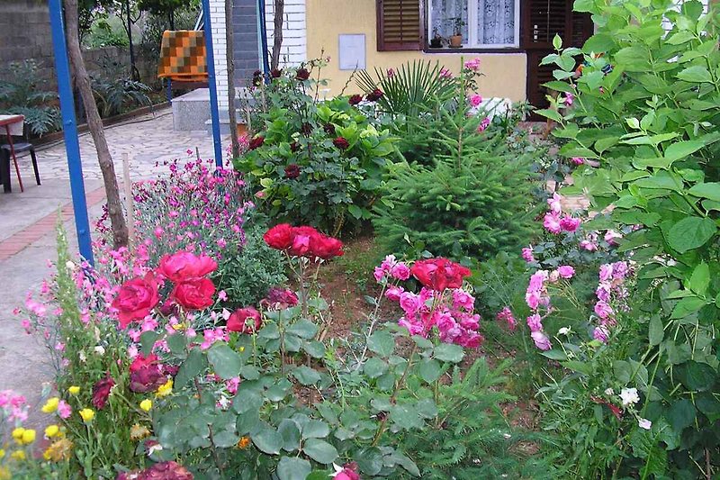 Jardín