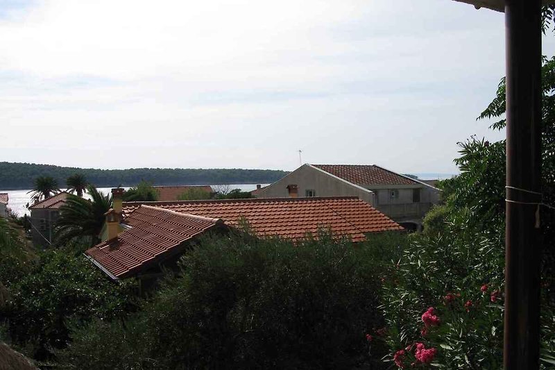 Vista de la terraza