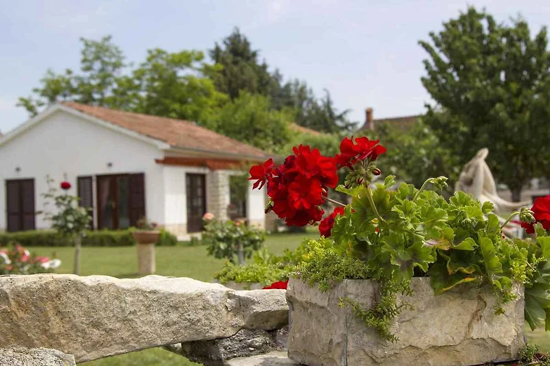 external view