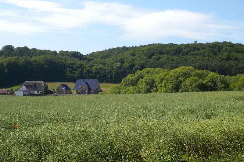 vue sur le village Blieschow avec château de chasse au milieu des arbres