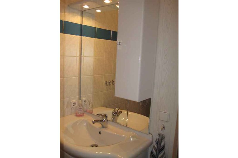 salle de bain avec douche et wc