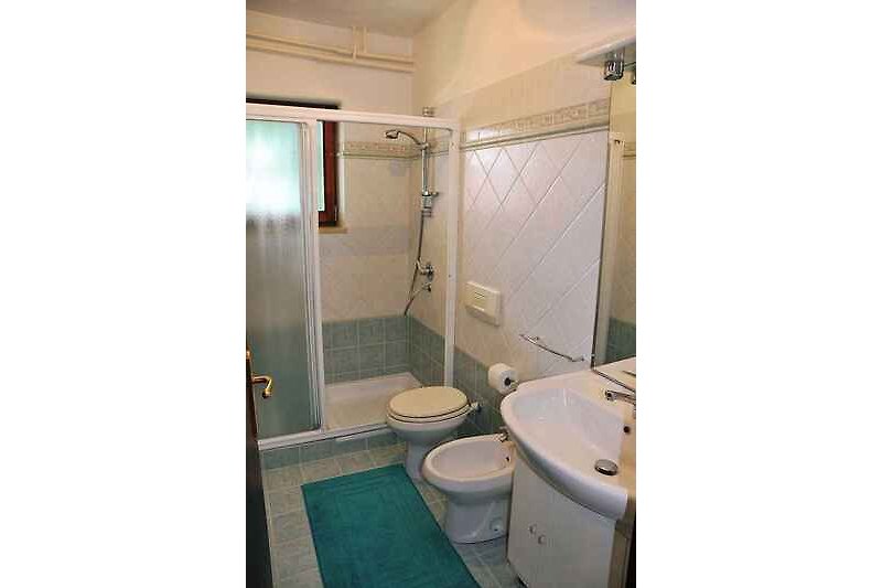 salle de bain avec douche (exemple de logement)