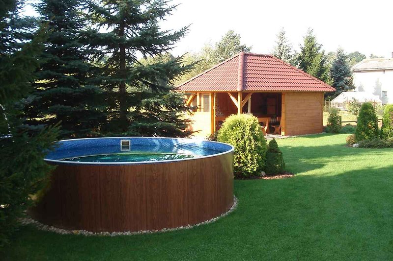 jardin avec piscine