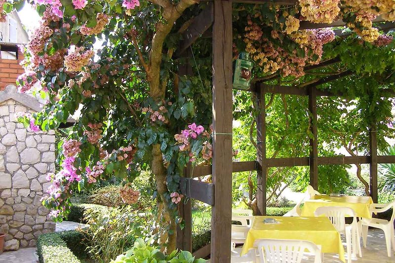 Terraza con muebles de jardín