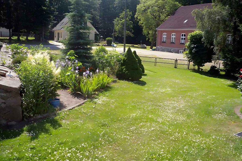 Blick in den Garten (Liegewiese)