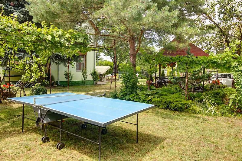 Stół do tenisa w ogrodzie