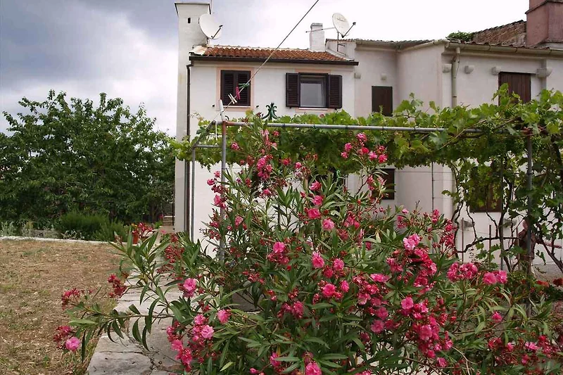 Vista esterno