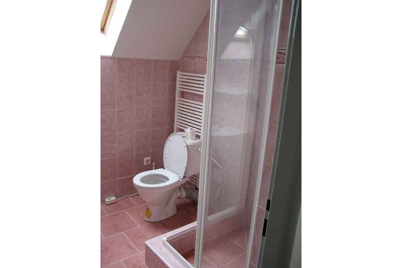 Badkamer met WC