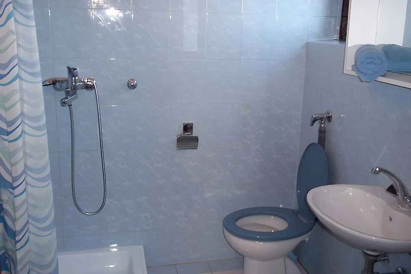 Badkamer met douche en WC
