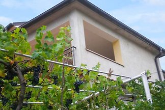 Ferienwohnung in ruhiger Lage