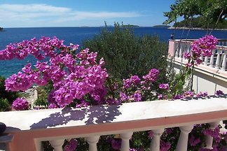 Ferienwohnung direkt am Meer