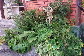 Chalet mit Garten und eigenem Schwimmbad