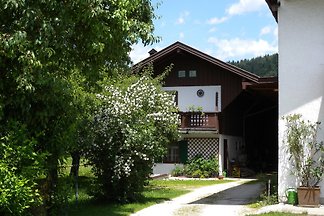 sterreich > Kufstein > Niederndorf > Ferienwohnung 43425. Details Einzelreisende, Familien, Geschftsreisende, Gruppen, Kinder, Senioren, Singles Ferienwohnung Niederndorf, 3 Personen, sterreich, Kufstein