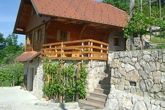 Kuća za odmor Dopust za oporavak Otočec