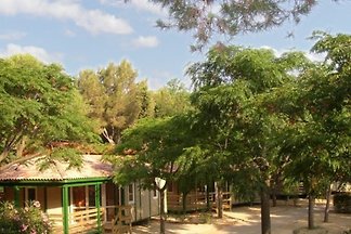 Domek letniskowy Urlop wypoczynkowy Vilanova i la Geltru