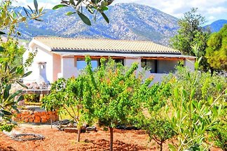Ferienwohnung mit Terrasse