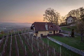 Vakantiehuis Ontspannende vakantie Slovenië