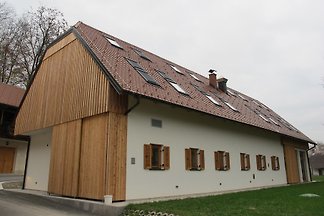 Apartament Dla rodzin Skocjan