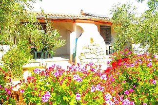 Ferienwohnung con terrazzo e vista sul mare
