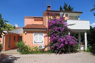FerienWohnung (Ferienzimmer)
